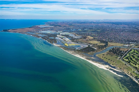 Port Phillip Bay Ramsar Site by Andrew Morrison