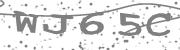 Type the letters in the image or Type the first letter of the words spoken in the audio.