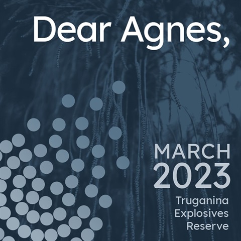 Dear Agnes Art Project logo