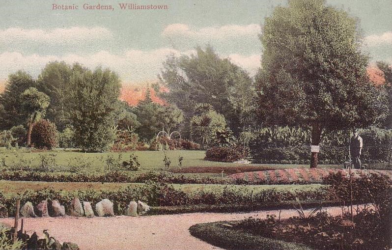 Postcard-2-Coloured-View-Williamstown-Botanic-Gardens.jpg