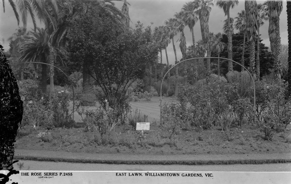 Postcard-3-East-Lawn-Williamstown-Botanic-Gardens-circa-1920-54-Rose-SLV.jpg
