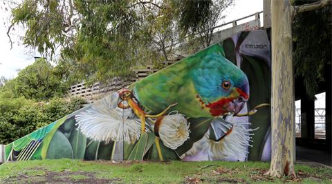 Swift Parrot.png