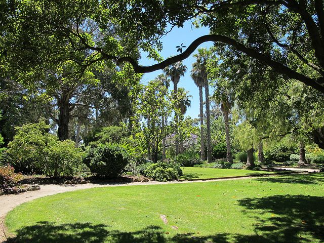 Williamstown-Botanic-Gardens-Lawn-1-640-x-480.jpg