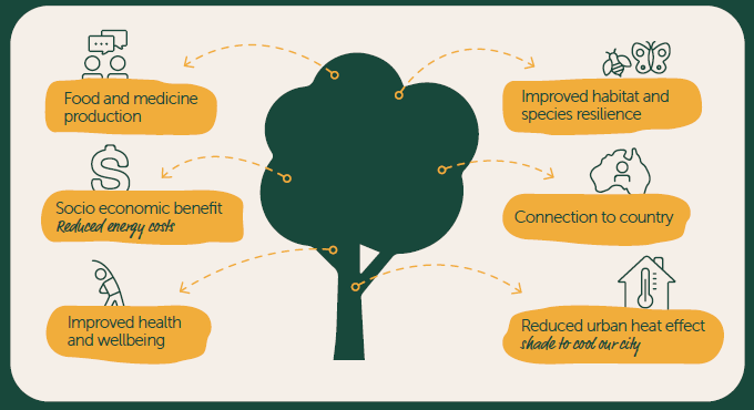Biodiversity-Strategy-benefits-of-trees.png