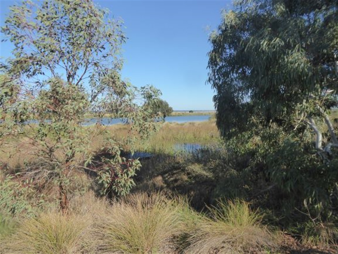 Rifle Range planting event, Williamstown Hobsons Bay