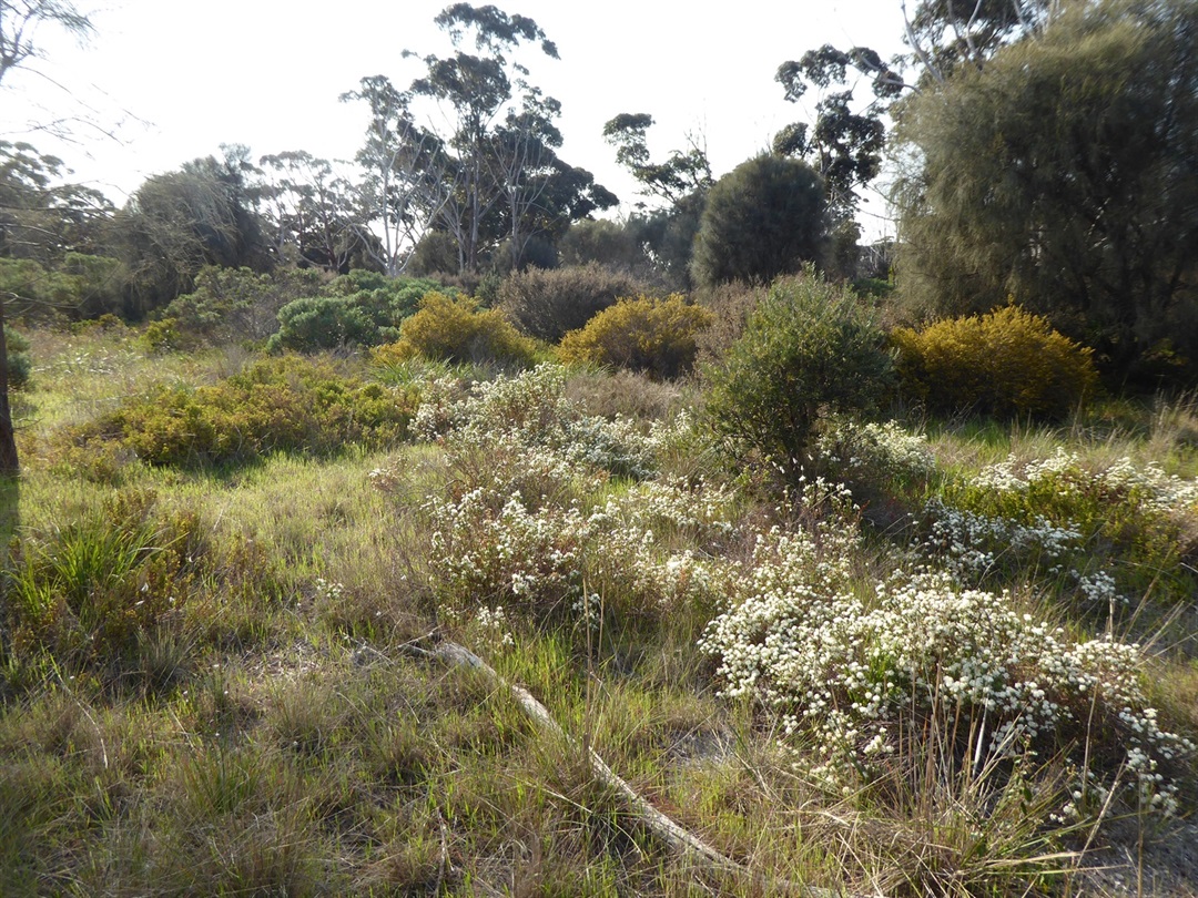 Truganina Explosives Reserve Hobsons Bay
