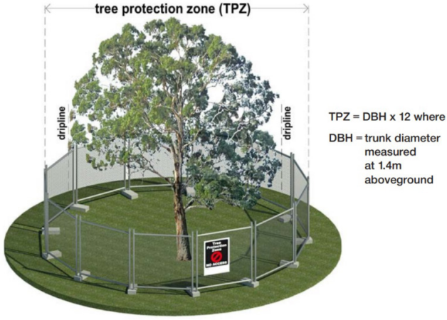 an image showing how a tree protection zone should be established