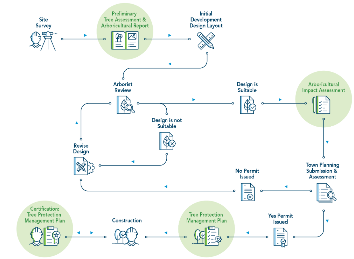 A flowchart outlining the recommended involvement of an arborist in a generic development project where trees are present.