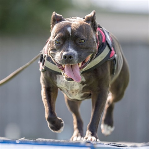 Beige-Photo-Fashion-Google-Search-Instagram-Post