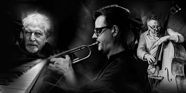 Promotional photo collage featuring Tony Gould, Eugene Ball and Nick Haywood performing as Collective History at the Williamstown International Jazz Festival Spring Series 2026.
