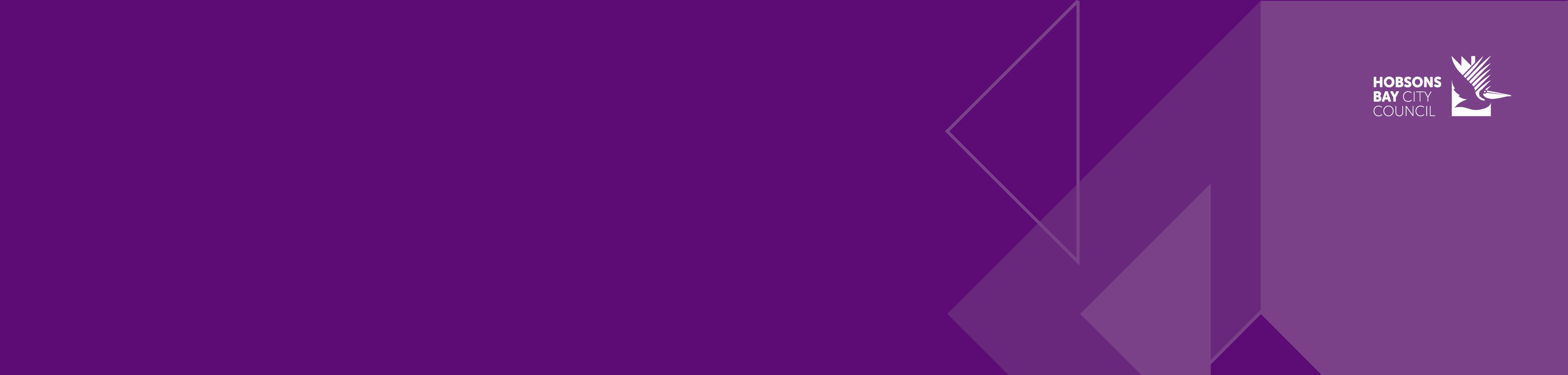 Web Banner.jpg