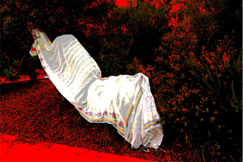 Mita Chowdhury Exhibition