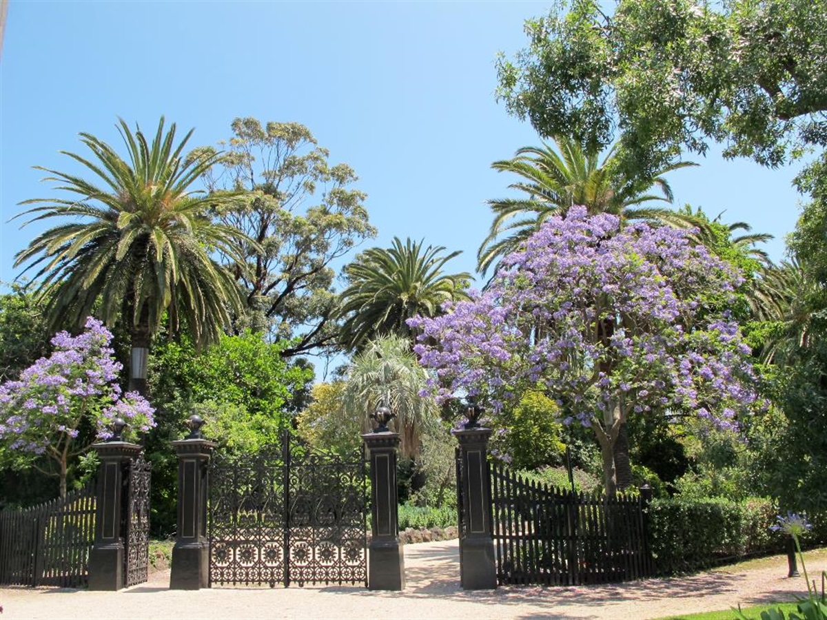 Seniors Festival Visit the Williamstown Botanic Gardens Visit Hobsons Bay