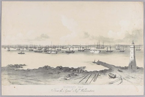 8 Tall Ships in Hobsons Bay 1800s Victorian Gold Rush