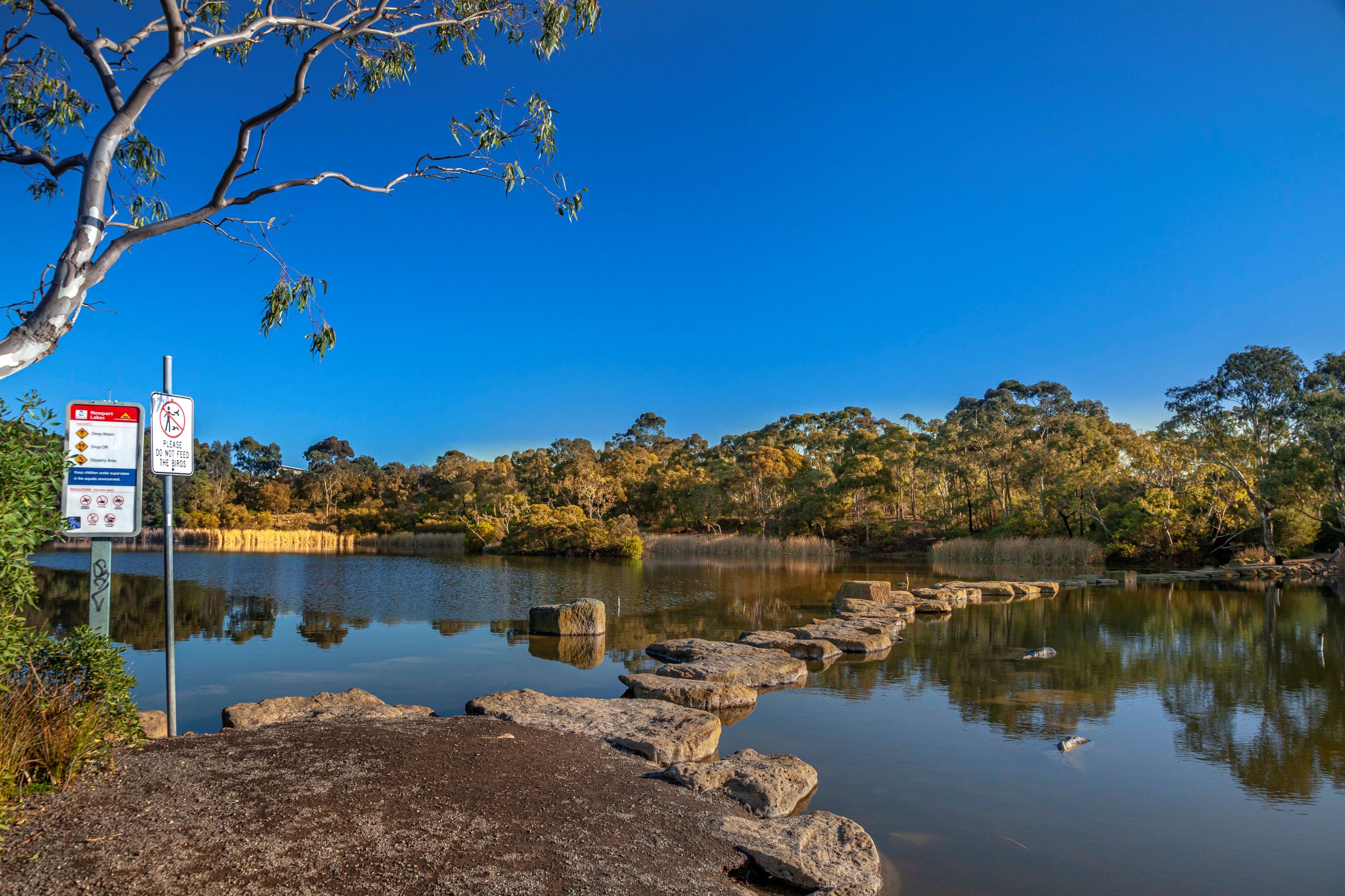 Newport Lakes 