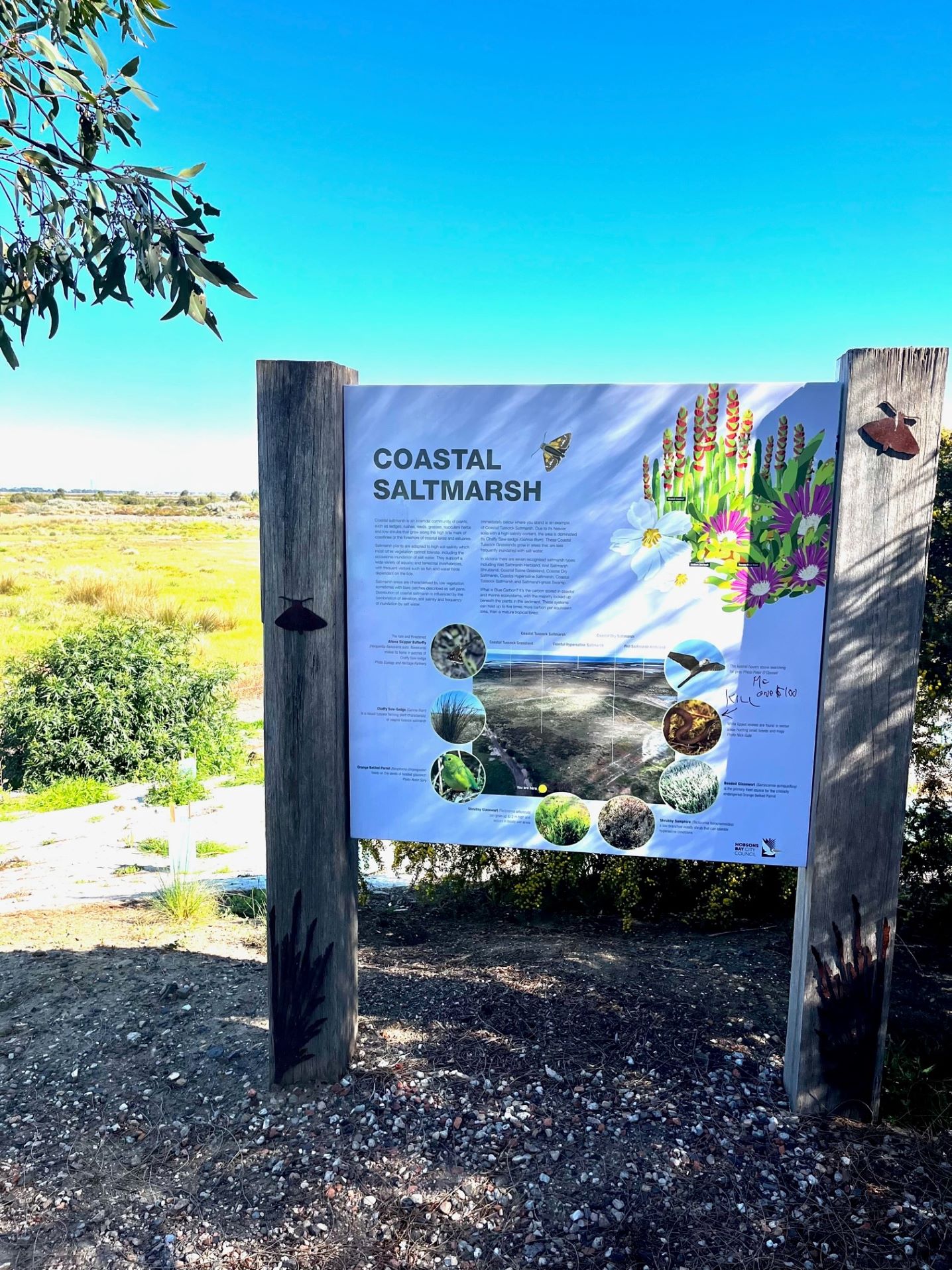 Truganina Park Coastal Saltmarsh Sign in Altona Meadows